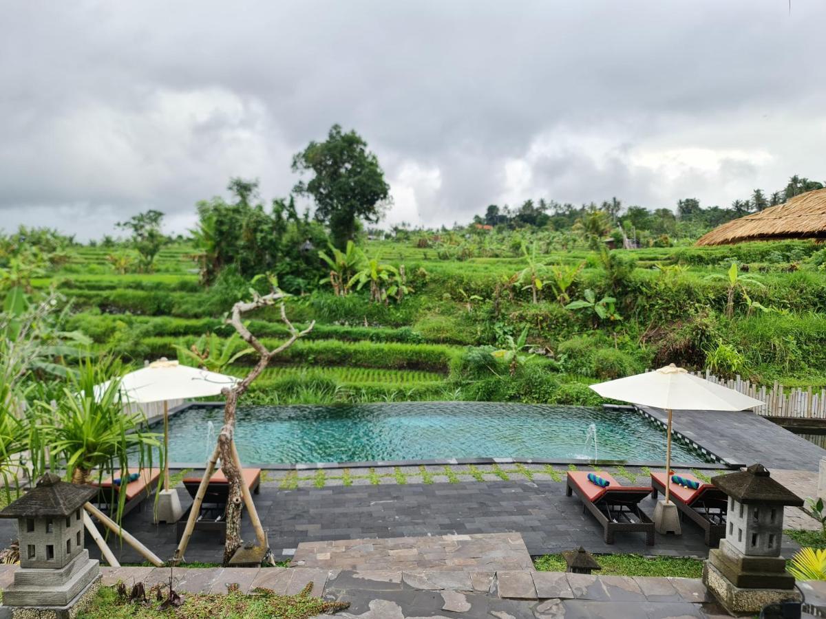Alamgangga Villas Tirta Gangga Karangasem  Ngoại thất bức ảnh